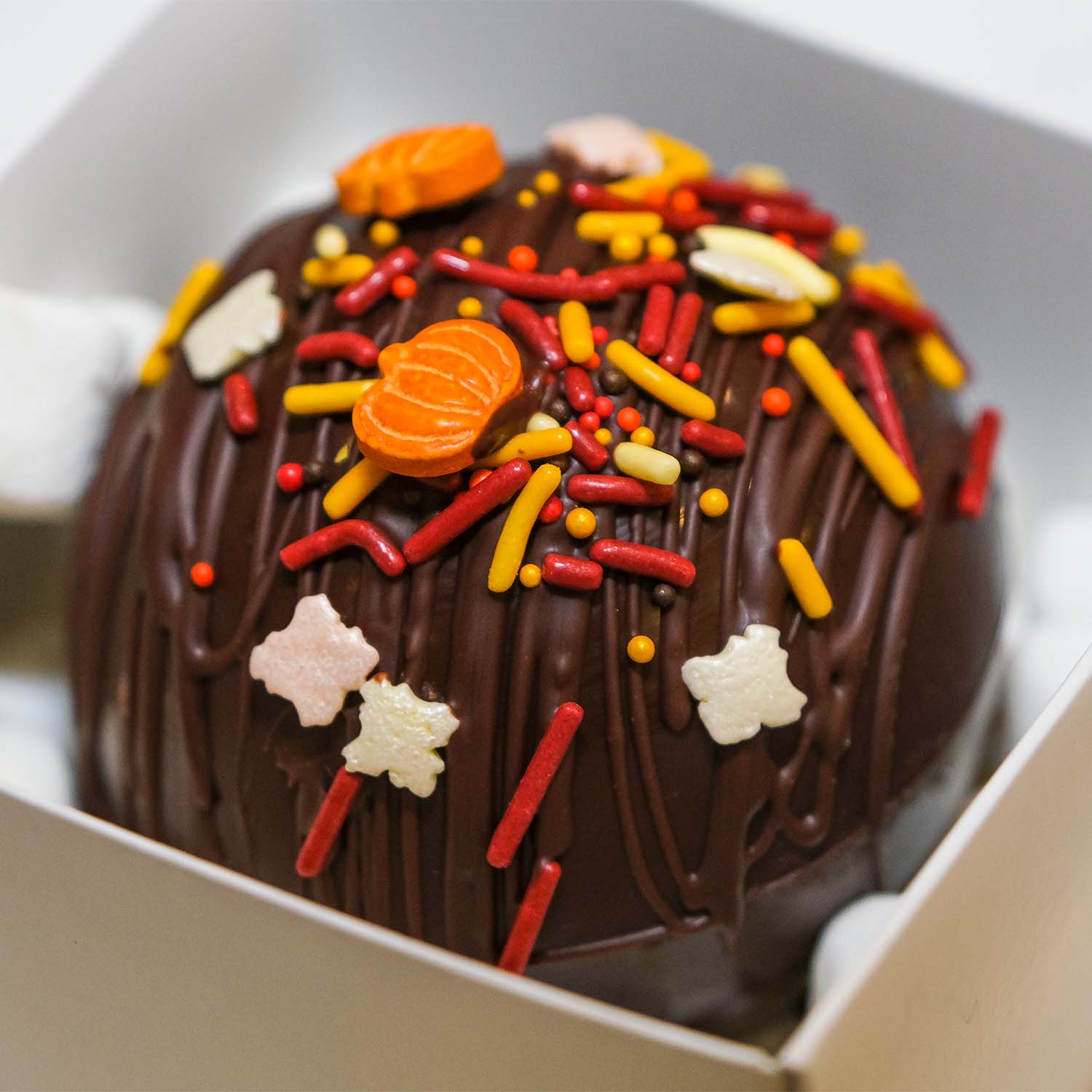 Fall themed hot dark chocolate cocoa bombs filled with marshmallows